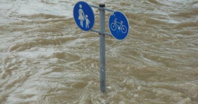 flood, sign, downfall, water, flooding, flooded, environment, catastrophe, pedestrian, cyclist, danube, natural disaster, environmental protection, storm, danube bank, riverbank, force of nature, climate protection, water level, flow, riverside, nature, flood of the century, civil protection, climate change, flood disaster, earth day