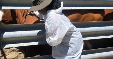 Iqalise inkqubo yokuthintelwa kweenkomo kwisifo seFoot and Mouth disease