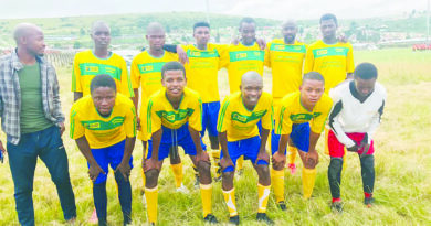 Iqela lebhola icela inkxaso 